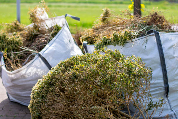 Best Electronics Removal Services  in Thorntown, IN